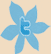 Follow me on Twitter